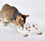 Design Ceramic Pet Slow Feeding Bowl Luxury Rounded Dog Bowl with Wooden Stand for Cat Dog