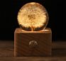 Touch Small Night Light Dandelion Crystal Ball Music Box Wood Home Ornament