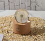 Touch Small Night Light Dandelion Crystal Ball Music Box Wood Home Ornament