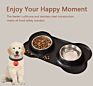 Divtop Non-Slip Silicone Mat Feeder Double Pet Bowl,Silicone Foldable Traveling Double Stainless Steel Dog Bowls.