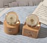 Touch Small Night Light Dandelion Crystal Ball Music Box Wood Home Ornament