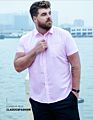 Sell Button down Solid Color Casual Short Sleeve Men's Shirts plus Size