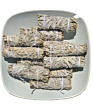 Celion 16Cm White Sage Bundles for Cleaning Origins Smudging Kit in Stock