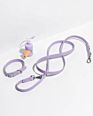 Biodegradable Printed Dog Poop Bags, Poop Bag Holder Pet Waste Bags for Dog Poop