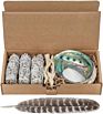 Robin Crystal Abalone Shell Sage Set Cleansing Smudge Kit for Healing