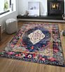 Botanical America Transitional Indoor and Outdoor Dark Colors Area Rug