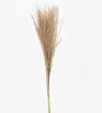 Popular Small Natural Dried Pampas Grass Bouquet for Decoration