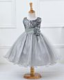 Little Girls' Sequin Mesh Tulle Dress Sleeveless Flower Party Ball Gown Girl Night Dress