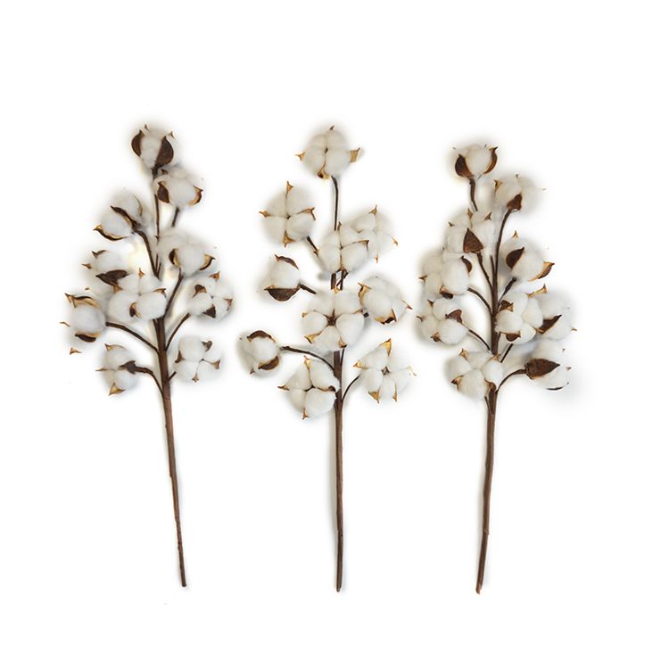 21Inch Designs Natural Artificial Dried Flowers Decorative Flowers Bionic Balls Natural Cotton Stems 3 Pack 6
