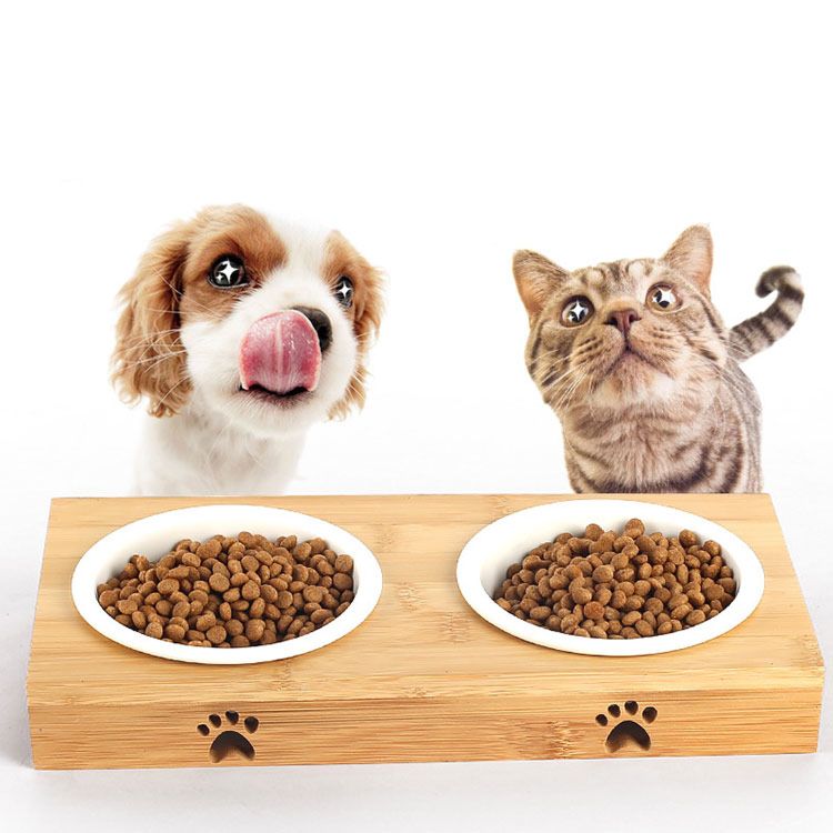 Pet Bowl