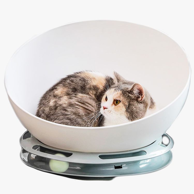 Design Plastic Interactive Ball Toy Bed