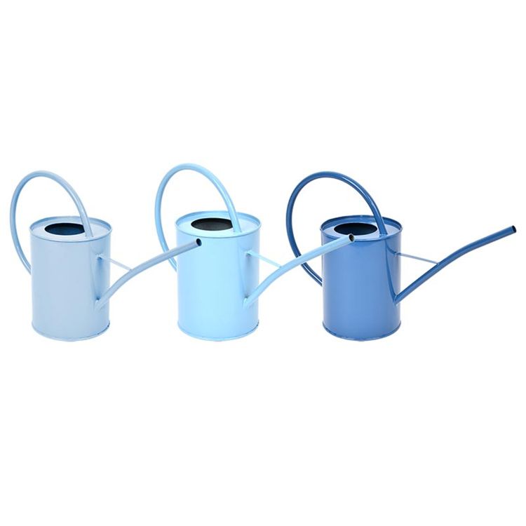 Blue shades indoor watering can ass