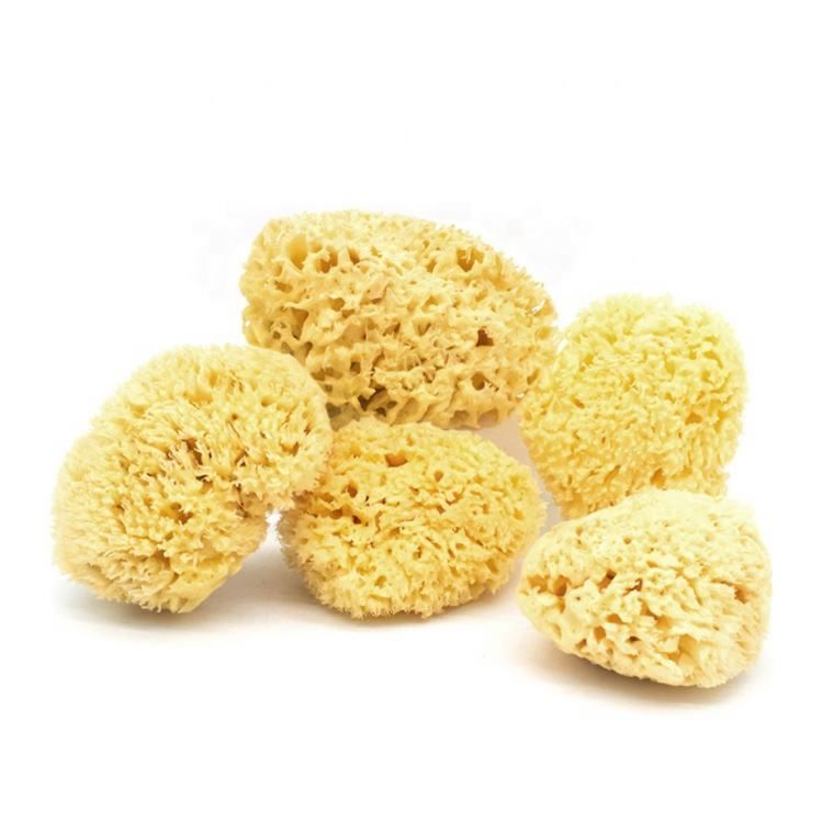 Loofah Bath Sponge with Long Handle