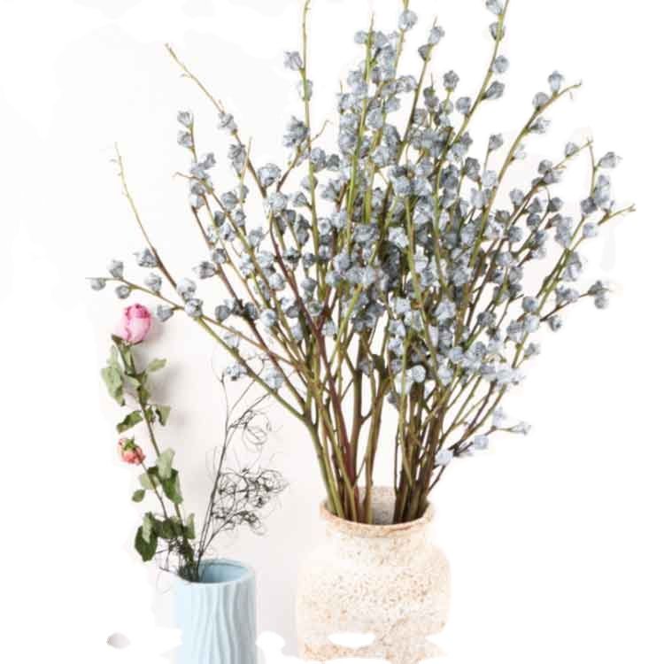 Product Plant Dry Eucalyptus Berry Dried Eucalyptus Leaves Bouquet