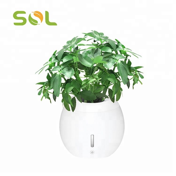 Sol Self-Watering Plant Natural Air Humidifier Planter Smart Indoor Herb Garden Ecological Negative Anion Flower Pots