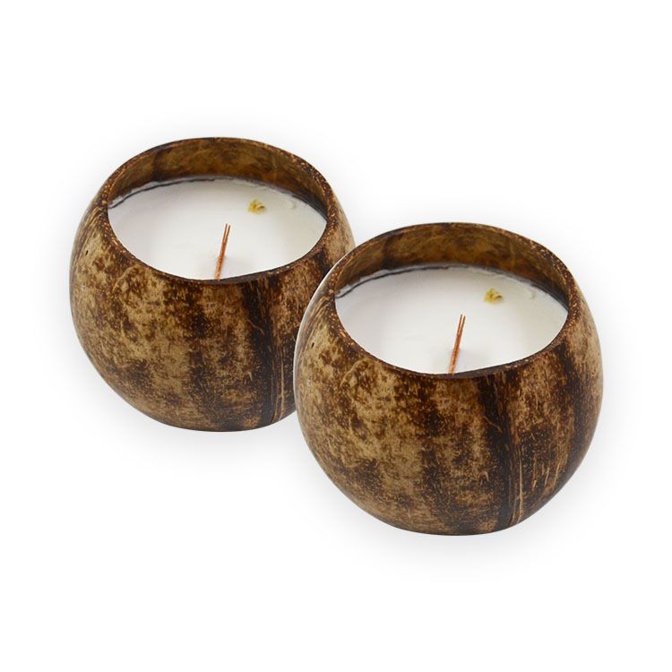 Vietnam Eco Small Coconut Shell Fragrance Candle Bowl Wooden Wick