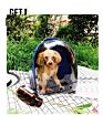 Pet Cat Bag, Fully Transparent Space Capsule Two-Shoulder Pet Portable Backpack, Dog and Cat Out of the Bag