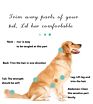 Pet Dog and Cat Fur Hair Remover Grooming Deshedding Blade Brush Comb Brush for Dog and Cat Removes Undercoat Tangled Hair