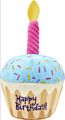 Dog Pet Birthday Cake and Birthday Gift Box Plush Toy Dog Pet Chew Vocal Squeaky Toy