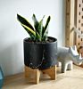 Pot Planters Flower Stand Classic Marble Hanging Pots 5.5 Inch with Small Indoor Succulent Three Black Ceramic Planter