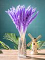 Ins Most Popular Decoration Dried Flowers Pampas Grass Black Pampas for Home or Weddings Decoration