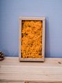 Stabilized Preserved Lichen Reindeer Moss for Decoration Flower Wall Preserved Natural Moss