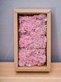 Stabilized Preserved Lichen Reindeer Moss for Decoration Flower Wall Preserved Natural Moss
