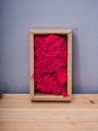 Stabilized Preserved Lichen Reindeer Moss for Decoration Flower Wall Preserved Natural Moss