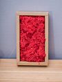 Stabilized Preserved Lichen Reindeer Moss for Decoration Flower Wall Preserved Natural Moss