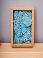 Stabilized Preserved Lichen Reindeer Moss for Decoration Flower Wall Preserved Natural Moss