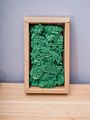 Stabilized Preserved Lichen Reindeer Moss for Decoration Flower Wall Preserved Natural Moss