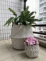 Open Weave Basket