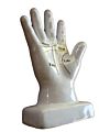 Vintage Porcelain Hand Vintage Palmistry Lines of the Human Hand