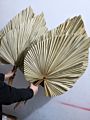 Wild Autumn Palm Tree Natural Color Dried Palm Leaves for Wedding Decoration Home Decoration