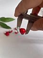 accessories moving ladybug