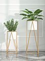 Metal Plant Stand Sets Flower Pot with Original Green Customized Style Vase Floor Color Decorative Plant Modern