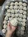 Multi Set Eco Gray Natural Hemp Rope Pet Dog Toy Interactive Durable Cotton Rope Hemp Dog Toy Set