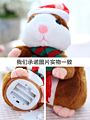 Style Plush Talking Repeating Plush Toy