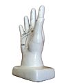 Vintage Porcelain Hand Vintage Palmistry Lines of the Human Hand