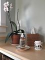 Square Rattan Tissue Box Set, Honey Brown Color Tissue Box