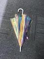 Special Poe Transparent Changing Color Iridescenct Poe Holographic Umbrella