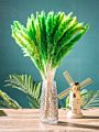 Ins Most Popular Decoration Dried Flowers Pampas Grass Black Pampas for Home or Weddings Decoration
