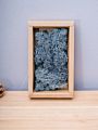 Stabilized Preserved Lichen Reindeer Moss for Decoration Flower Wall Preserved Natural Moss