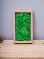 Stabilized Preserved Lichen Reindeer Moss for Decoration Flower Wall Preserved Natural Moss