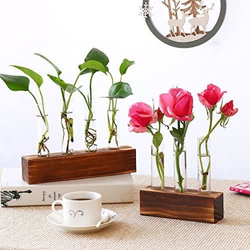 Propagation Test Tube Station 3 Glass Test Tube Vase Planter for Hydroponic Plants Home Garden Decoration - 3 Test Tube