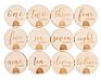 Nursery Milestone Card Set Pregnancy Milestone Laser Cut Wooden Baby Nursery Decor