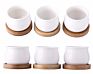 3 Piece Mini White Ceramic Succulent Planter Pot Set with Bamboo Bases