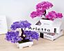 Yiwan Wholesalebonsai Welcoming Pine Multi Shape Lifelike Live Table Small Bonsai Outdoor Home Decoration Plastic Bonsai