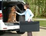 Small Large Pet Plastic Ladder Ramps Dogs Folding Foldable Bed Adjustable & Stairs Stair Non Slip Dog Car Ramp for Car Suv