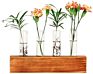Propagation Test Tube Station 3 Glass Test Tube Vase Planter for Hydroponic Plants Home Garden Decoration - 3 Test Tube
